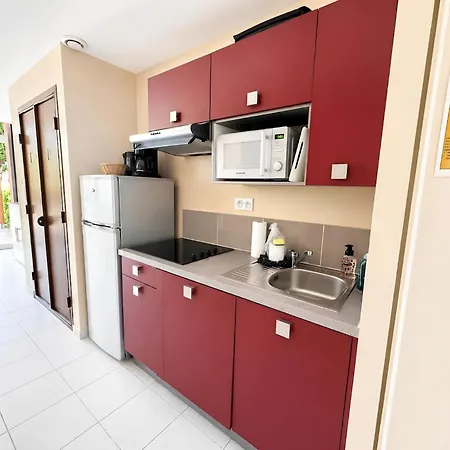 Les Palmiers - Piscine - Wi-fi - Clim & Parking Apartament Agde